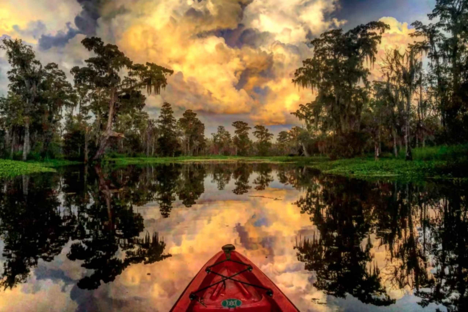 New Orleans: Manchac Swamp Wildlife Kayaking Tour