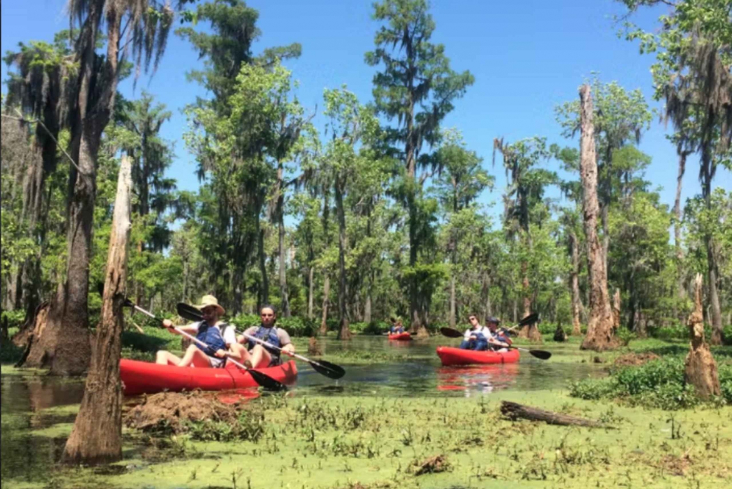 New Orleans: Manchac Swamp Wildlife Kayaking Tour