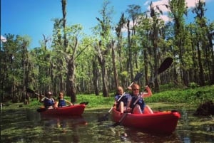 New Orleans: Manchac Swamp Wildlife Kayaking Tour