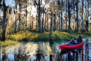 New Orleans: Manchac Swamp Wildlife Kayaking Tour