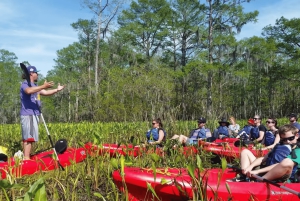 New Orleans: Manchac Swamp Wildlife Kayaking Tour