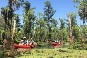 New Orleans: Manchac Swamp Wildlife Kayaking Tour