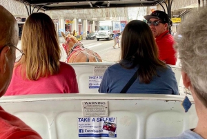 New Orleans: Notorious, A True Crime Story Carriage Ride