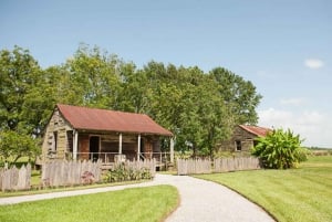 New Orleans: Oak Alley, & Laura eller Whitney Plantation Tour