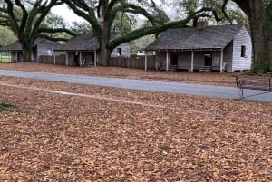 New Orleans: Oak Alley, & Laura eller Whitney Plantation Tour