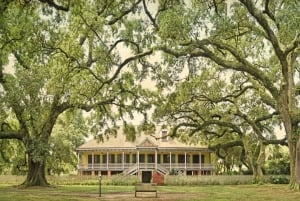 New Orleans: Oak Alley or Laura Plantation & Airboat Tour