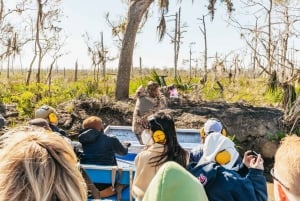 New Orleans: Oak Alley Plantation & Airboat Swamp Combo Tour