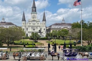 Nowy Orlean: Plantacja Oak Alley i wycieczka po mieście Katrina