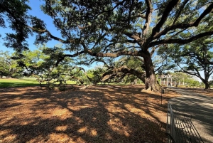 Nowy Orlean: Plantacja Oak Alley i wycieczka po mieście Katrina