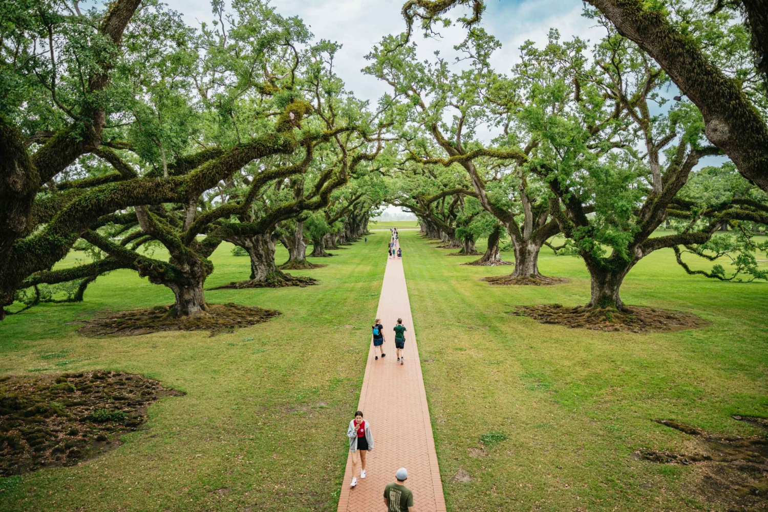 New Orleans: Oak Alley Plantation and Swamp Cruise Day Trip