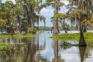 New Orleans: Oak Alley Plantation and Swamp Cruise Day Trip