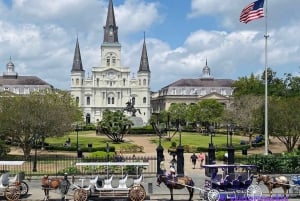 New Orleans: Oak Alley Plantation & City and Katrina Tour