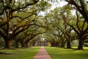 New Orleans Oak Alley Plantation halvdagsutflykt