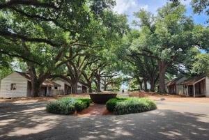 New Orleans: Oak Alley Plantation Halbtagestour