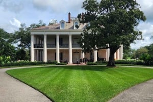 New Orleans: Oak Alley Plantation halvdagstur