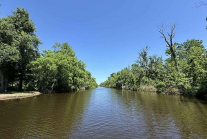 Nowy Orlean: Oak Alley Plantation -N- Swamp Wycieczka całodniowa