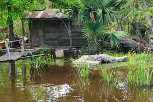 La Nouvelle-Orléans : Oak Alley Plantation -N- Swamp Tour Journée complète