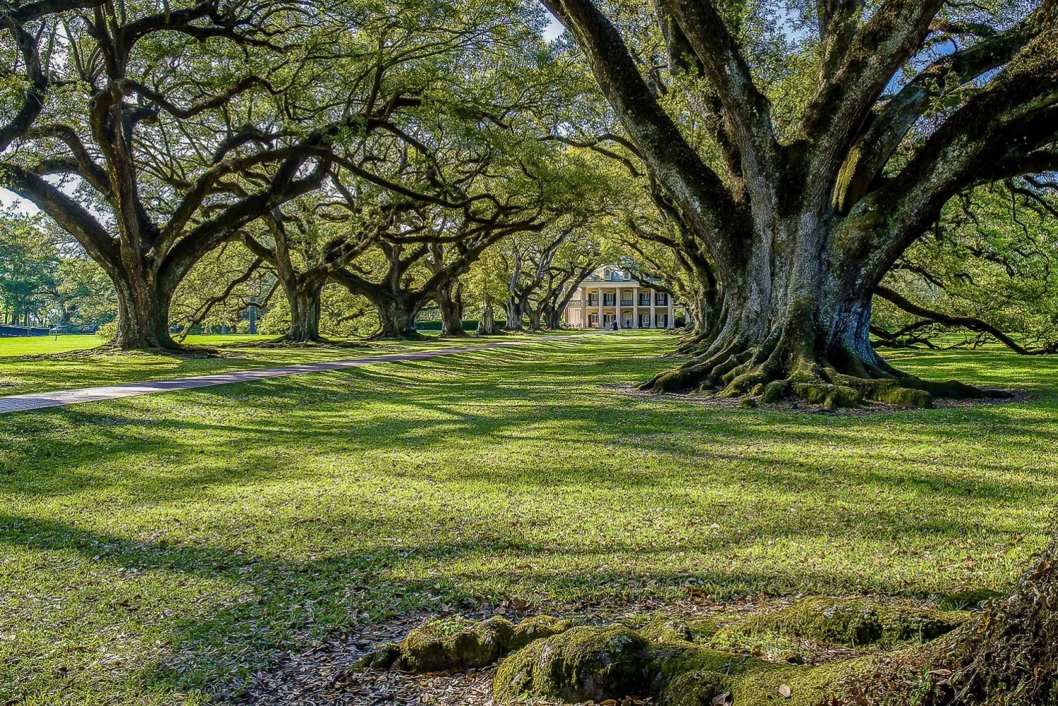 New Orleans: Oak Alley Plantation & Swamp Cruise Day Trip
