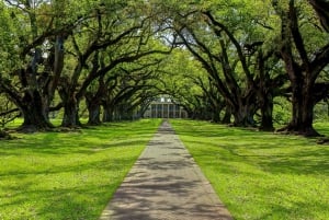 New Orleans: Oak Alley Plantation & Swamp Cruise Day Trip