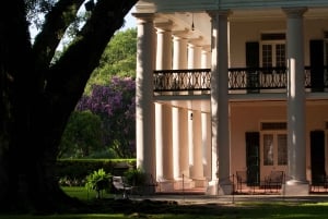 New Orleans: Oak Alley Plantation & Swamp Cruise Dagsutflykt