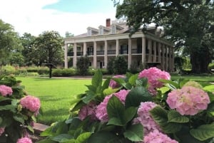 New Orleans: Oak Alley Plantation & Swamp Cruise Dagsutflykt