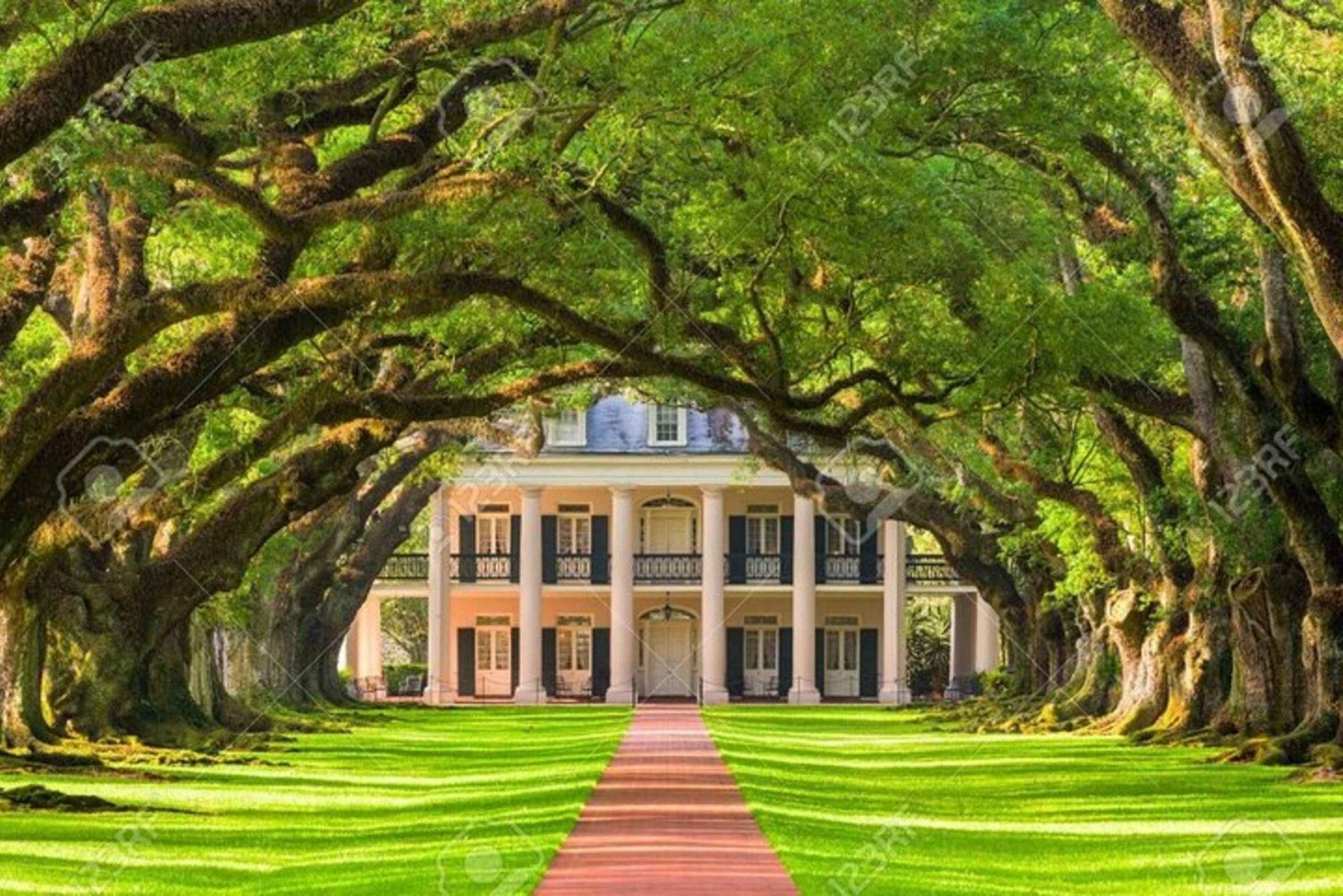 New Orleans: Oak Alley Plantation Tour ja Airboat Tour: Oak Alley Plantation Tour ja Airboat Tour