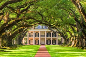 New Orleans: Oak Alley Plantation Tour och Airboat Tour