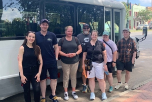 New Orleans: Oak Alley Plantation Tour en Vervoer
