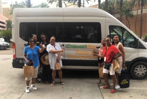 New Orleans: Oak Alley Plantation Tour med transport til hotellet