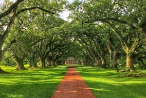 La Nouvelle-Orléans : Visite de la plantation Oak Alley avec transport
