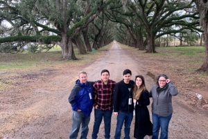 Nueva Orleans: Visita y transporte a la plantación Oak Alley