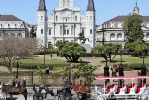 New Orleans: Private Guided City Tour
