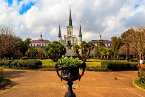 New Orleans: Pub Crawl & Historical Chronicles Walking Tour