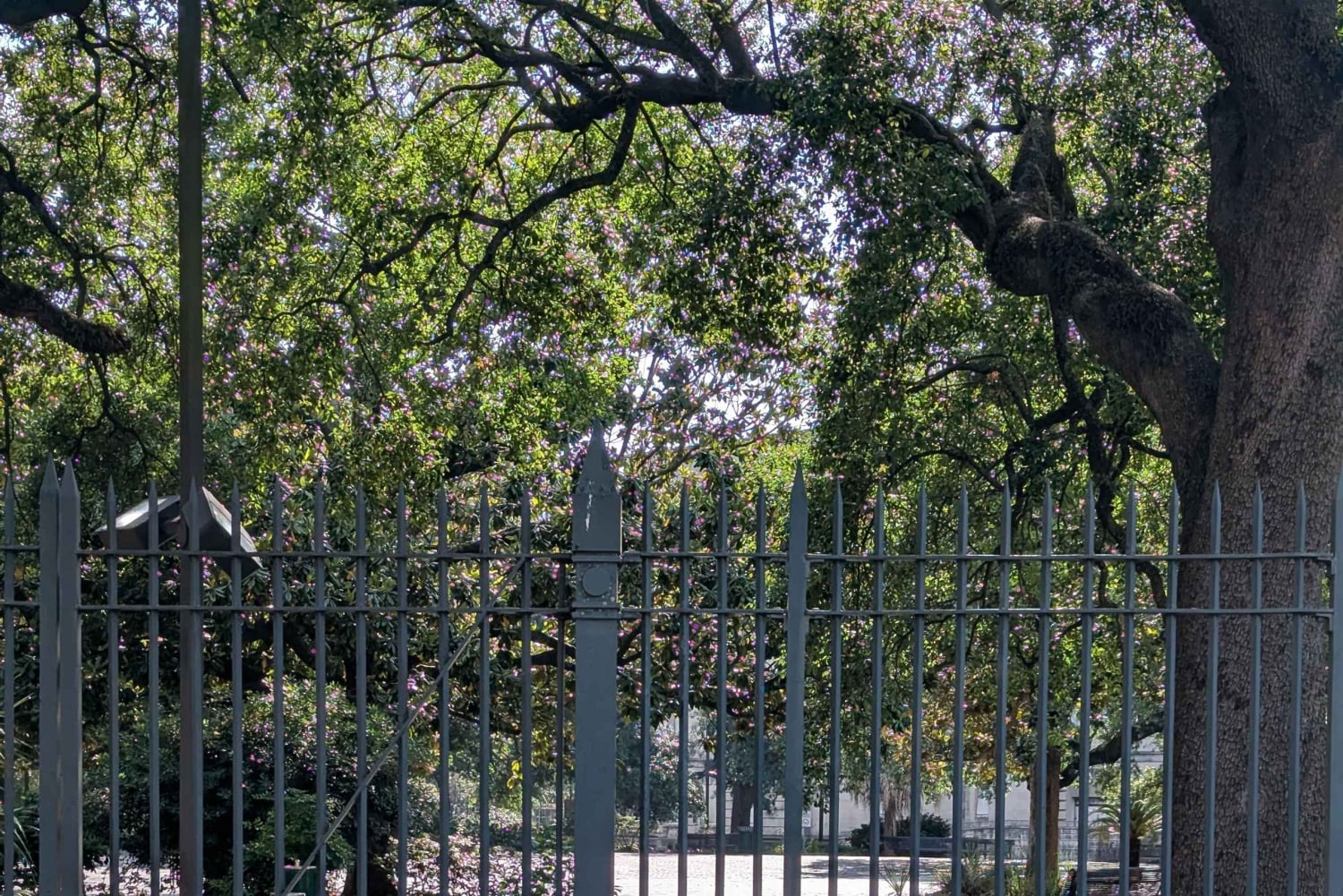 ニューオーリンズ：「フレンチクォーターの影」ウォーキングツアー