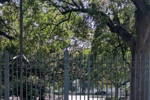 ニューオーリンズ：「フレンチクォーターの影」ウォーキングツアー