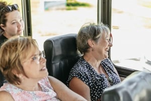 New Orleans: Sightseeing Bus Tour
