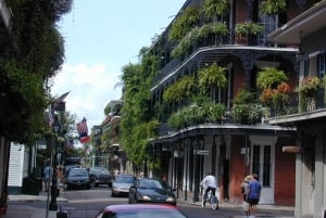 New Orleans Sightseeing Tour by Air-Conditioned Minibus