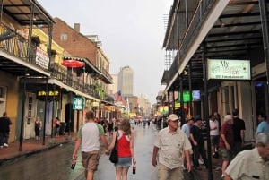 New Orleans Sightseeing Tour by Air-Conditioned Minibus