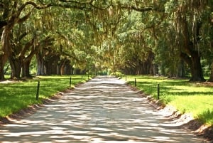 New Orleans: Tagestour zur Single Plantation und zum Pontoon Swamp