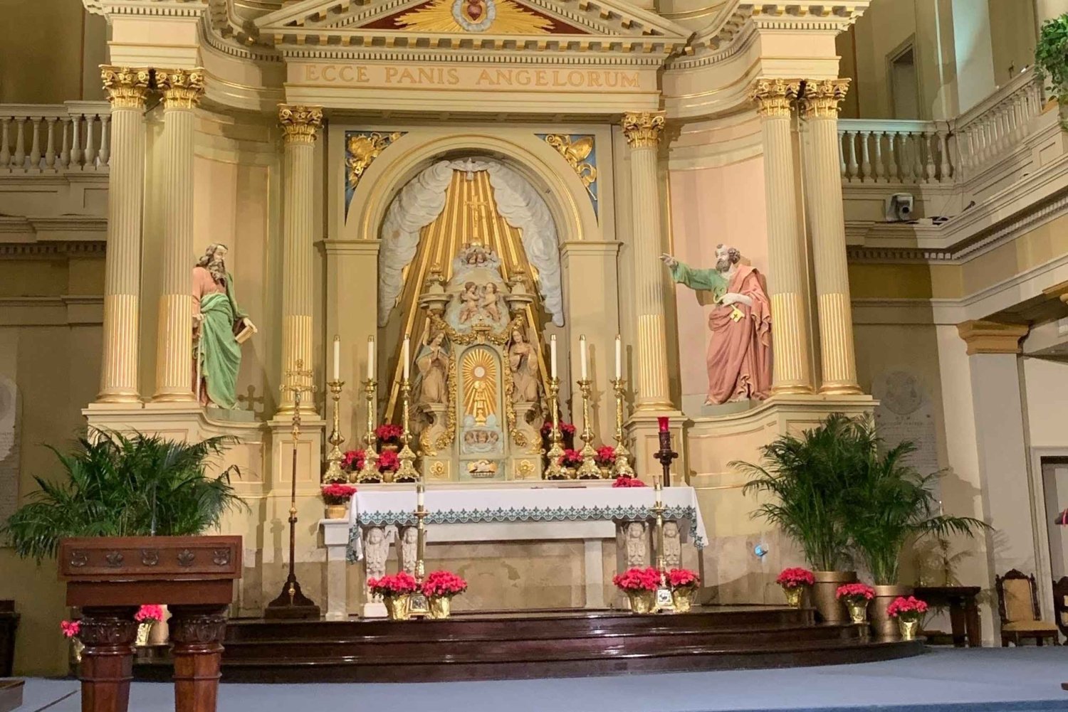 New Orleans: Officiel guidet VIP-tur i St. Louis-katedralen