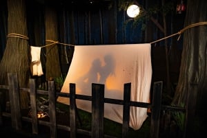 New Orleans Storyville Museum: All Access-billet