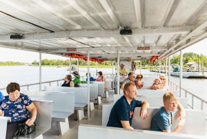 La Nouvelle-Orléans : Tour en bateau dans les marais et les bayous avec transport