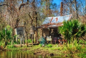 New Orleans: Swamp Boat Ride & Oak Alley Plantation Tour