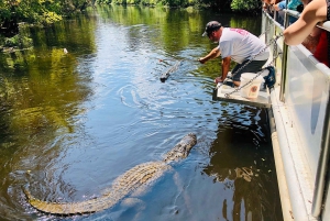 Nova Orleães: passeio de barco no pântano e visita à plantação Whitney