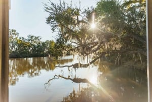 New Orleans: Crociera guidata nella palude con tour in barca