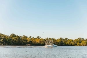 New Orleans Swamp Tour by Tour Boat