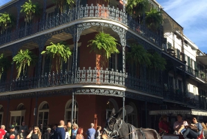 New Orleans: Traditionel byrundvisning og herregårdstur