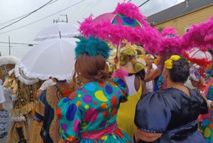 Nueva Orleans: Tour a pie histórico de Treme con visita al museo