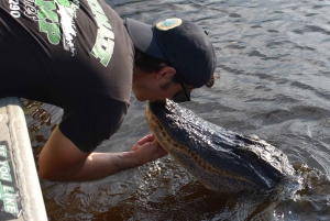 New Orleans: Upein Suuri Airboat Swamp Tour