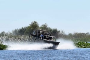 Nouvelle-Orléans : Le meilleur petit tour des marais en bateau à air comprimé